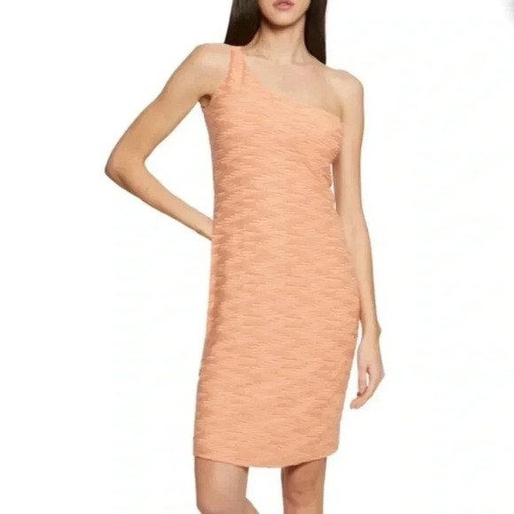Walter Baker Peach One-shoulder Ribbed Knit Sheath Dress Women’s Size Large L - Picture 7 of 7